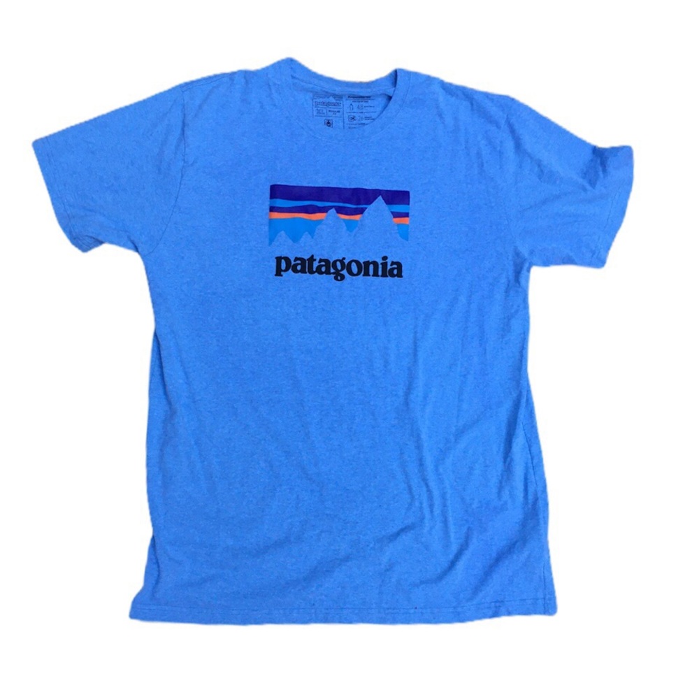 Patagonia Spellout Logo Tee